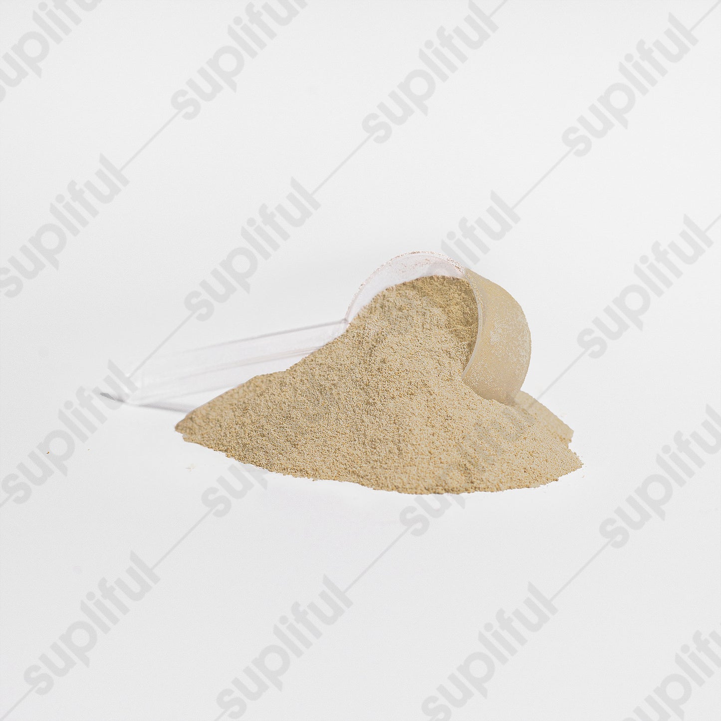 Lorenzo+ | Plant Protein (Vanilla)